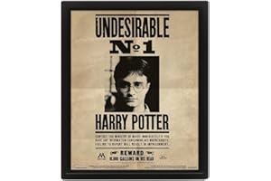 Pyramid International – Cadre lenticulaire 3d - Vrai effet de mouvement et de profondeur – Harry potter - Sirius Black – Idée cadeau anniversaire - 25.5x20.5 – Licence officielle