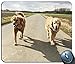 Produktbild Labrador Retriever Dogs Mousepads 2