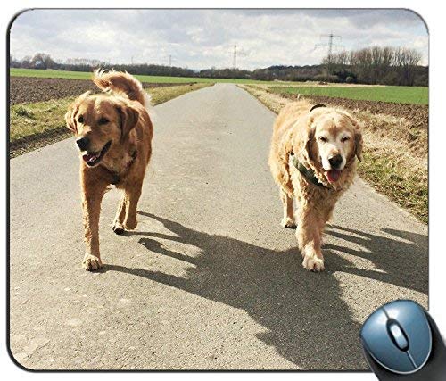 Preisvergleich Produktbild Labrador Retriever Dogs Mousepads 2