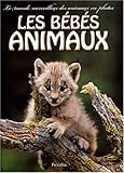 Les bébés animaux