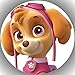 Produktbild Fondant Tortenaufleger Tortenbild Geburtstag Paw Patrol T18