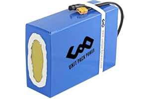 HXRFOAK UPP Batteria per Bici elettrica 48V 50AH - Ebike Batteria per Ebike,E-scooter/Go-Kart 2000W 1500W 1000W 750W 500W Motori