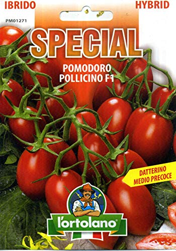 L'ortolano Pomodoro Pollicino (DATTERINO) Ibrido F1 - Busta Sementi