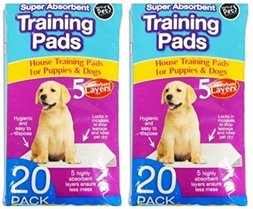 40-x-Super-Absorbent-Large-Puppy-Pet-Training-Pads-60-x-45cm-5-Layers