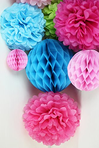 SUNBEAUTY 11er Set Deko Kombination Pink Rosa Blau Wabenbälle PomPoms - 8