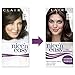 Clairol Nice'n Easy Non-Permanent Hair Dye No Amonia - Medium Ash Brown 77
