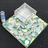 140 * 140mm Grand Espace Camouflage AntHouse Fourmiliere Éducatif avec Alimentation en Eau et en Eau pour Fourmis en Direct (Camouflage Summer)