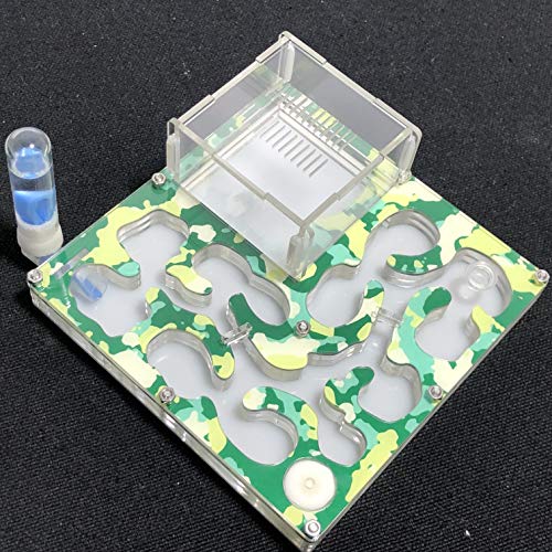 140 * 140mm Grand Espace Camouflage AntHouse Fourmiliere Éducatif avec Alimentation en Eau et en Eau pour Fourmis en Direct (Camouflage Summer)