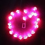 Lerway 20 LED Rosen Lichterkette Batteriebetrieben Innen Im Freien Beleuchtung für Garten Rasen Bar Verein Hochzeit Valentinstag Weihnachten (Rosa) - 4