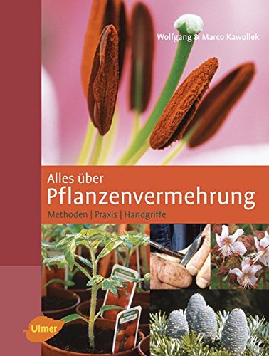 Download Alles über Pflanzenvermehrung - Methoden - Praxis - Handgriffe Download Alles über Pflanzenvermehrung - Methoden - Praxis - Handgriffe