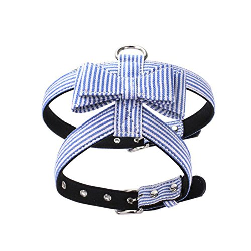 Preisvergleich Produktbild EnjoyHM Hund Platzen Proof Halsband Streifen Hundegeschirr Sonnenbrille für Kleine und mittelgroße Hunde