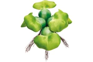 ‎PONTEC Pontec PondoHyacinth - schwimmende Teich-Hyazinthe für die Wasseroberfläche / Teichdekoration aus wetterfestem Kunststoff, Grün
