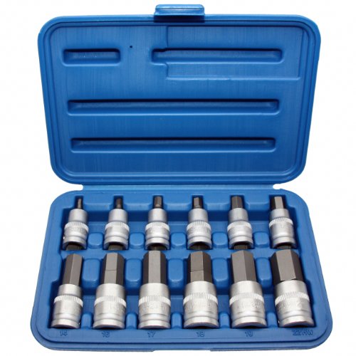 12 x Kraft Innensechskant Einsatz / Schlüssel für Innen-6-kant Schrauben Steckschlüsseleinsatz Schraubenschlüssel-Einsatz Größe 5-22 mm 1/2"-Antrieb Chrom-Vanadium-Stahl