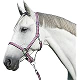 KERBL Halfter-Set mit Führstrick