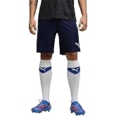 Puma Teamliga Shorts - Men's Shorts