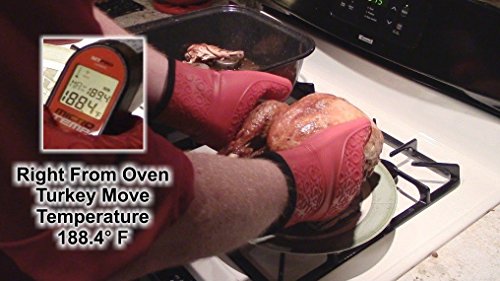 The Triumphant Chef Super Flex Silikon Ofenhandschuh, wattiertes Deluxe-Futter, 1 Paar, Dunkel-Rot, Gratis Saucen-Pinsel - 5