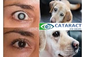 Cataract Clear 1 x 10ml bottle of Superb, Proven & holistic treating eye drops for people pets. Contains 4.2% N-Acetyl-Carnosine, over 4 times more than most other N-Acetyl-Carnosine based drops.
