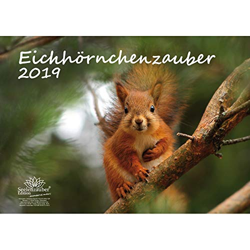 Download Écureuil magique – DIN A3 – Premium Calendrier 2019 – Écureuil – Forêt – Naturel – Animaux – Désert – Coffret Cadeau avec 1 carte de vœux et 1 Carte de Noël – Edition âme magique Download Écureuil magique – DIN A3 – Premium Calendrier 2019 – Écureuil – Forêt – Naturel – Animaux – Désert – Coffret Cadeau avec 1 carte de vœux et 1 Carte de Noël – Edition âme magique