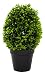 Produktbild DARO DEKO Kunst-Pflanze Buchs-Baum