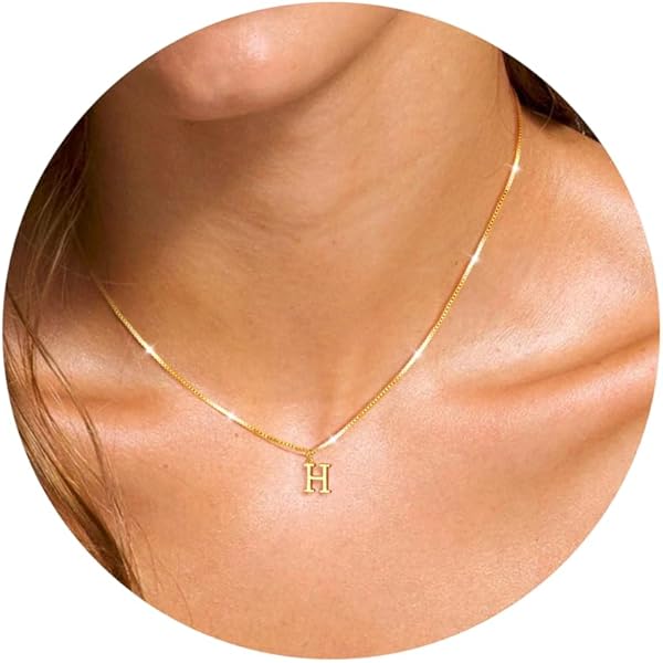 HANLI Hartvormige initialen kettingen voor vrouwen - 14k vergulde, sierlijke letterketting, eenvoudige alfabetketting van A gepersonaliseerde monogramnaamketting voor vrouwen, sieraden HANLI Hartvormige initialen kettingen voor vrouwen - 14k vergulde, sierlijke letterketting, eenvoudige alfabetketting van A gepersonaliseerde monogramnaamketting voor vrouwen, sieraden