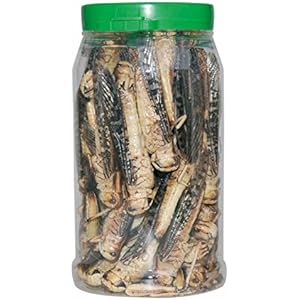 CRISPY FOOD - Heuschrecken groß, gefriergetrocknet, 30g