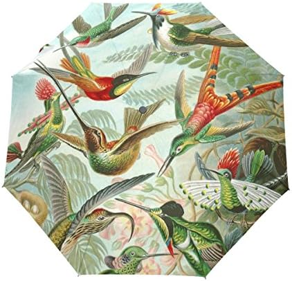 Yoshop Beautiful Hummingbirds With Flowers Art Automatic Storm-resistant Rain Umbrella Compact Sun Parasol