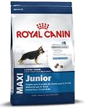 Royal Canin Dog Food Maxi Junior 15kg