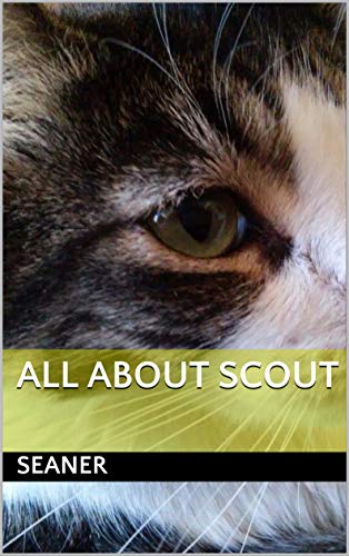 All About Scout (English Edition)