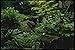 Produktbild 065006 Garden Well With Dipper A4 Photo Poster Print 10x8