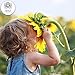 Premium Children's Blonde Hair Lightening Spray with Natural Camomile Extract - Young Kids & Teenagers, Get Your Chosen Blonde Shade the Easy & Safe Way with No Damage, Stains or Smells (100ml)