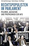 Image de Rechtspopulisten im Parlament: Polemik, Agitation und Propaganda der AfD