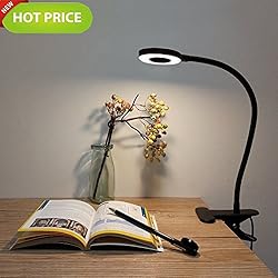 Lypumso Lampe de bureau à LED, lumière froide/chaude à 2 niveaux et à 2 niveaux, commutateur de lumière naturelle Pince à ampoule de bureau à pince réglable