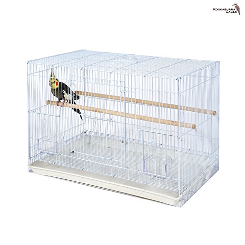 Kookaburra Spruce cría/celebración Jaula - Finches - Canarys - Budgie - cacatúas ect x1