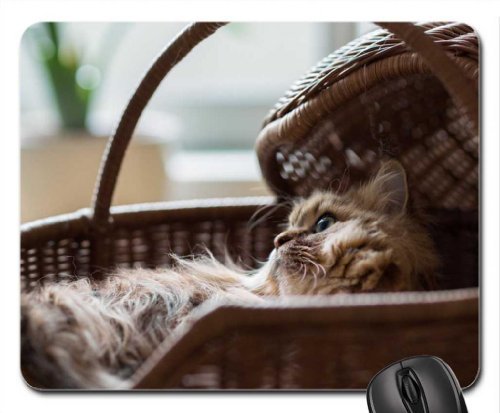 Preisvergleich Produktbild REALMA Katze in Korb Mauspad, Mousepad (Katzen Mauspad)