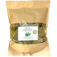 100 g Premium Soursop leaves – New Harvest – Natural – Without Pesticides – Direct from The Manufacturer Graviola.de