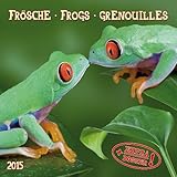 Frogs 2015 by