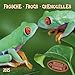 Frogs 2015 by