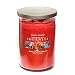 Produktbild Offizielle Yankee-Kerze, limitierte Edition, Weltreisen Jamaikanischer Rumpunsch, großer Becher, Twin-Dochtbecher