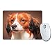 Produktbild Nederlandse Kooikerhondje Hund Tier Mauspad 182