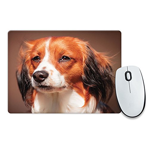 Preisvergleich Produktbild Nederlandse Kooikerhondje Hund Tier Mauspad 182