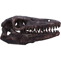 Teschio Di Tirannosauro Rex Nemesis Now | Figura Autonoma In Resina Grigia | Statua Dipinta A Mano 18,5 Cm | Arredo Originale Per Appassionati