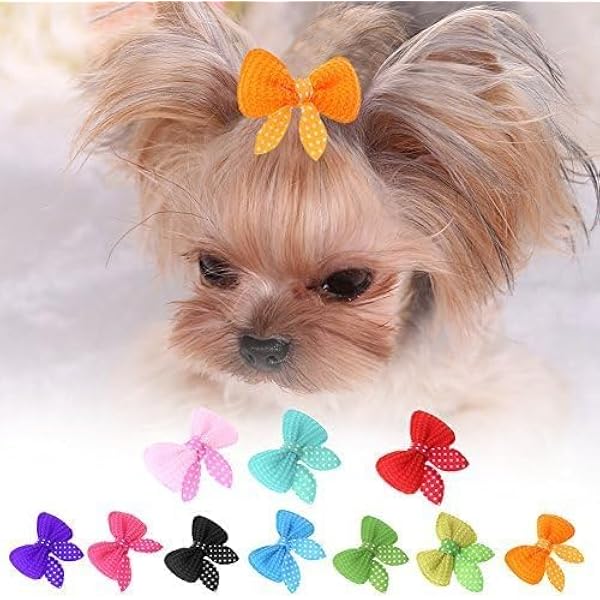 Niedliche Haarschleifen Für Hunde & Katzen – 20 Bunte Stück Mit Gummi
