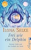 Image de Frei wie ein Delphin: Karma, Liebe und die Freiheit der Seele (Ullstein Taschenbuch)