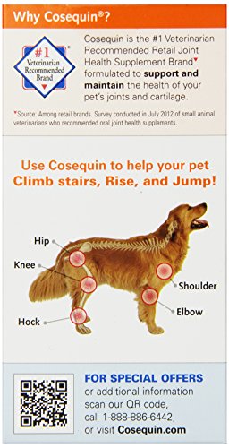 Cosequin-Ds-Chewables-Plus-Msm-60Ct