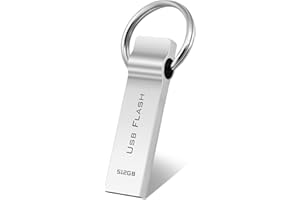 Aogamb USB Stick 512GB Portable USB Drive 3.0 Fast Speed Flash Drive Durable USB Flash Drive Mini Thumb Drive Mostly Used for File Storage and Data Copying (Sliver)