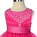 Dressy Daisy Baby Girls' Beaded Satin Tulle Tiered Wedding flower Girl Bridesmaid Dresses Party Dress Size 9-12 Months Hot Pink