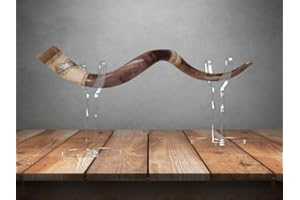 WLSANX Yemenite Shofar Stand Clear Acrylic Horn Display Stand for Shofar from Israel Fit Most Sizes Oryx,Kudu,Shofar Ram Horn,Yemenite Shofars (Transparent)