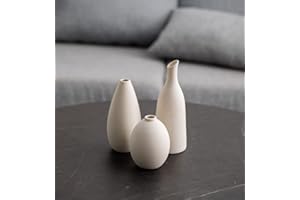 JUZAI Set da 3 Vaso Fiori Ceramica per Pampas, Piccolo Vasi Decorativo da Interno Design Boho Elegante Classici per Decorazione Tavolo, Bianco