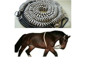 Pferdeseile_DE Lunging Aid – Original – Made in Germany – Size Full