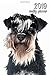 Produktbild 2019 Weekly Planner: 6x9 in. Miniature Schnauzer 52 Weekly  Calendar Schedule Organizer Appointment Journal Notebook for Zwergschnauzer fans
